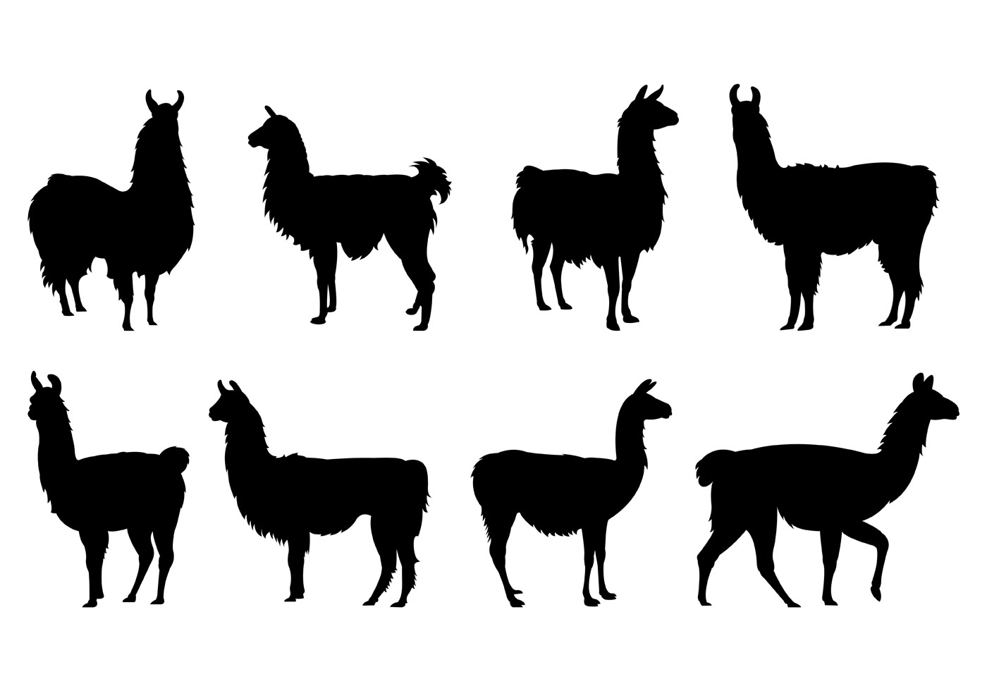 Download Llama Silhouette Vector at Vectorified.com | Collection of ...