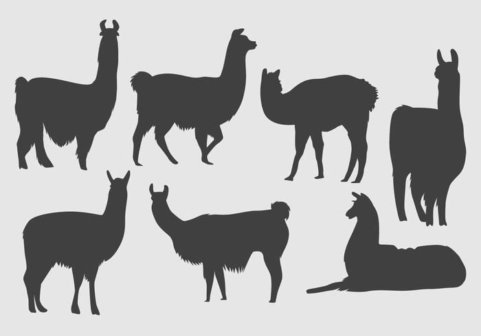 700x490 Llama Silhouette Vector