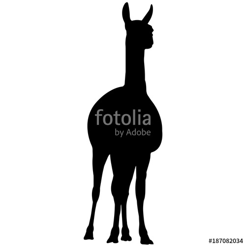 500x500 Llama Silhouette Vector Graphics Stock Image And Royalty Free
