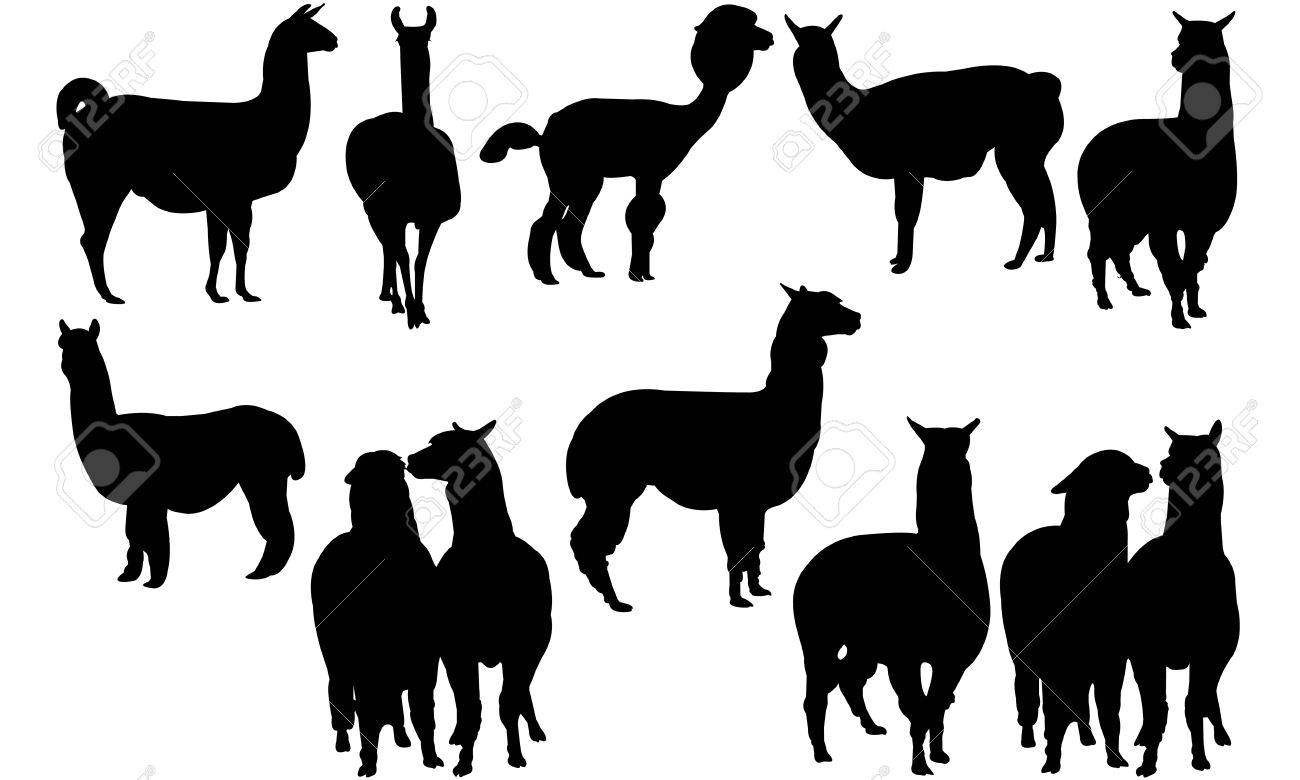 Download Llama Silhouette Vector at Vectorified.com | Collection of ...