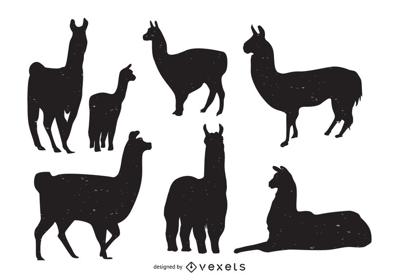 818x570 Llama Animal Silhouette Collection
