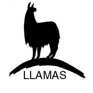 300x300 Llama Clip Art