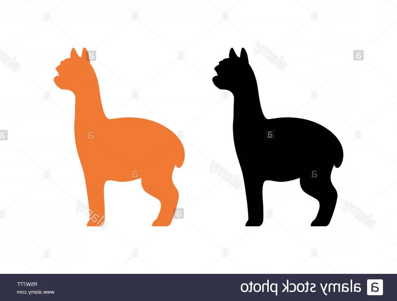 1560x1184 Alpaca Silhouette Vector Lamaison