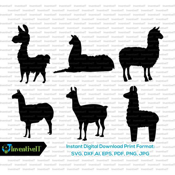 570x570 Llama Llama Silhouette Llama Vector Llama Clipart