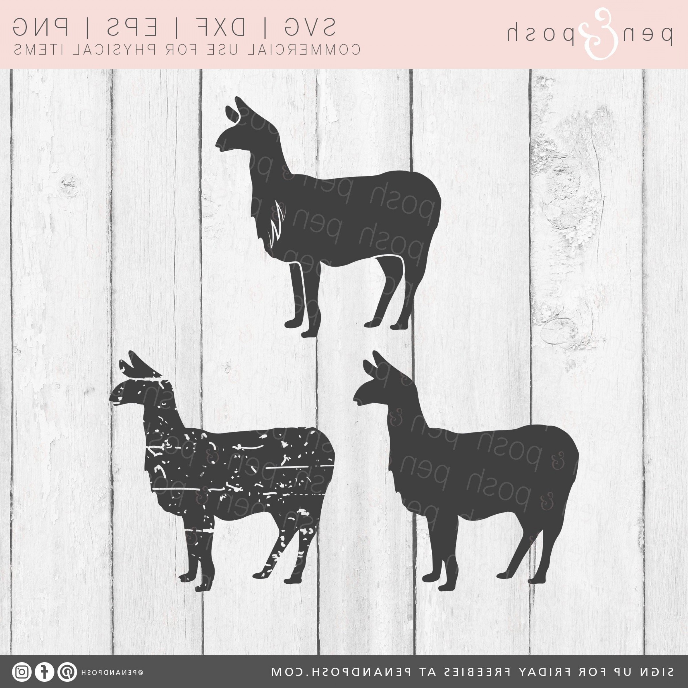 2400x2400 Pineapple Silhouette Vector Primative Catamart