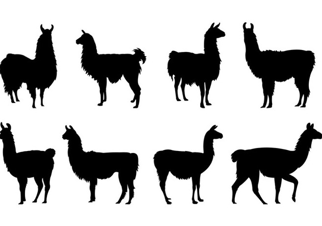 632x443 Set Of Llama Silhouettes Free Vector Download Cannypic