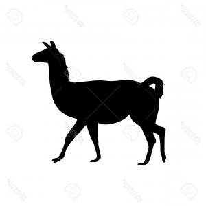 300x300 Vector Llama Pattern Wallpaper Alpaca Silhouette Hoodamathrun