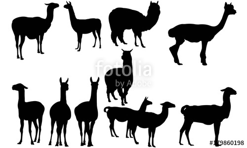 500x300 Llama Silhouette Vector Graphics Stock Image And Royalty Free