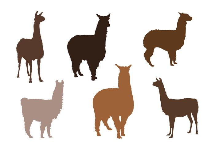 700x490 Alpaca Vector Silhouettes Free Graphics Uihere