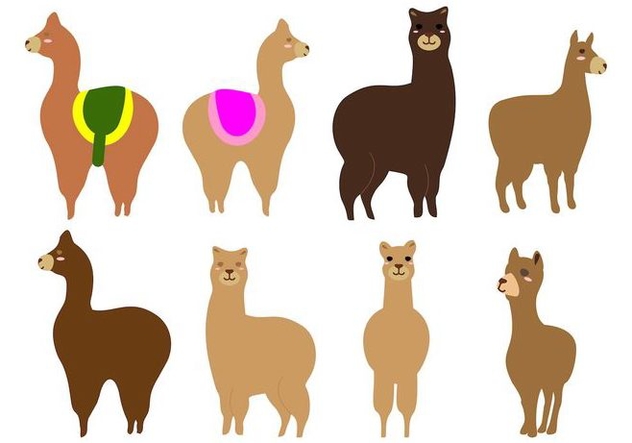 632x443 Free Alpaca Or Llama Vector Free Vector Download Cannypic