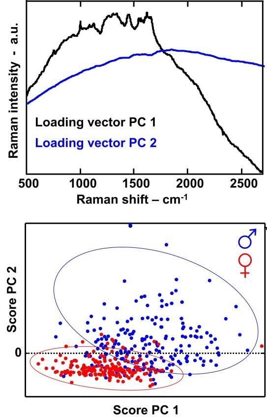 543x848 And Loading Vectors And Scatter Plot Of Scores Retrieved