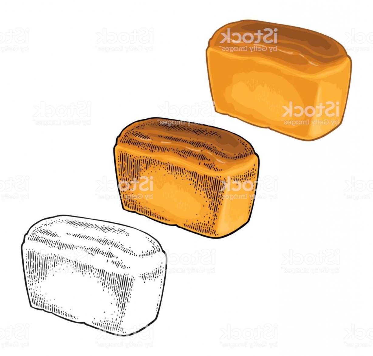 1228x1172 Loaf Of Bread Vector Color Hand Drawn Vintage Engraving Gm Soidergi