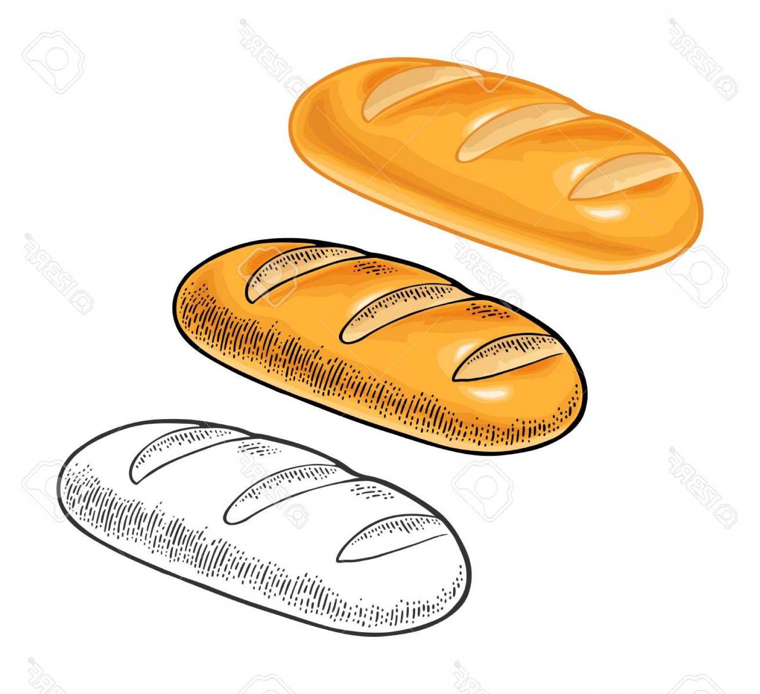 1560x1426 Photostock Vector Loaf Of Bread Vector Color Vintage Engraving
