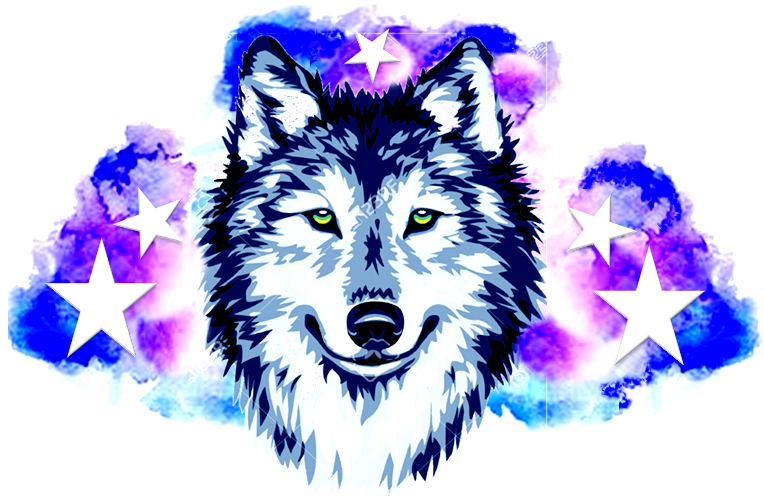 764x496 Mi Vector De Lobo Steemit