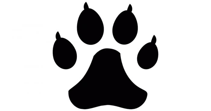 700x368 Pata De Lobo Png Vector, Clipart