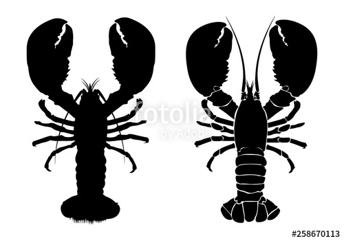 500x350 Lobster Silhouette Icon On White Background Vector
