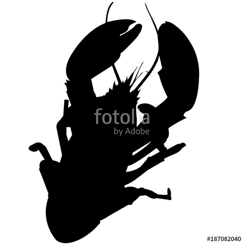 500x500 Lobster Silhouette Vector Graphics Stock Image And Royalty Free