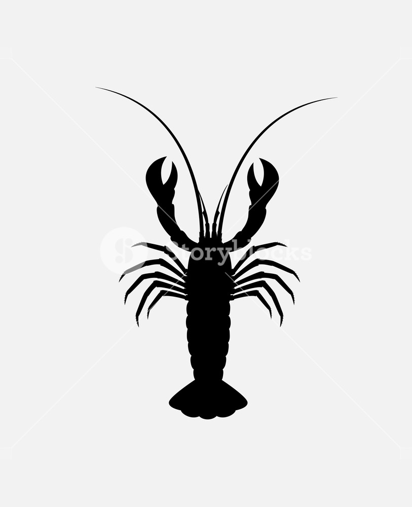 813x1000 Lobster Silhouette Vector Illustration Royalty Free Stock Image