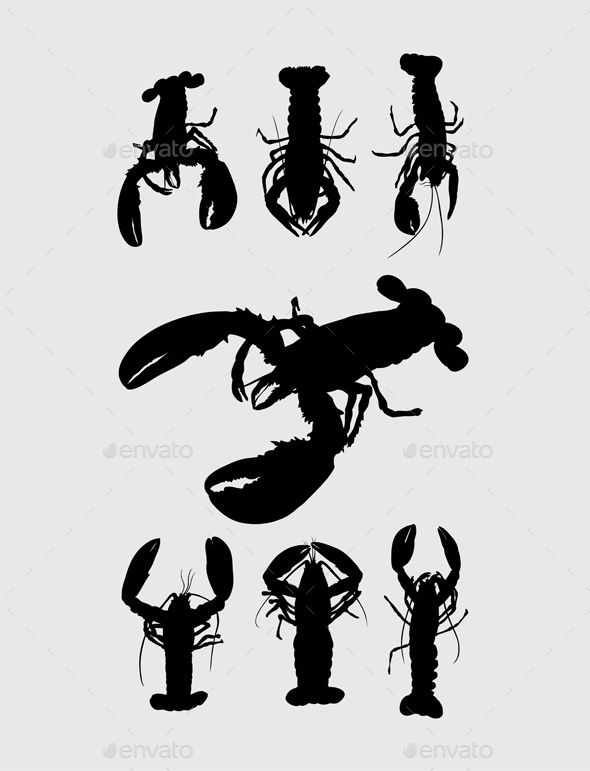 590x771 Lobster Silhouettes