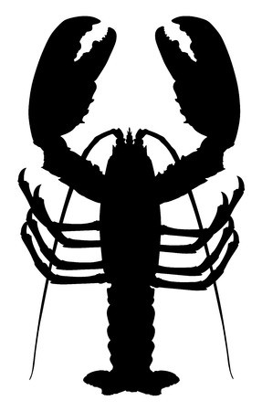 287x450 Lobster Vector Silhouette Isolated On White Background Crayfish