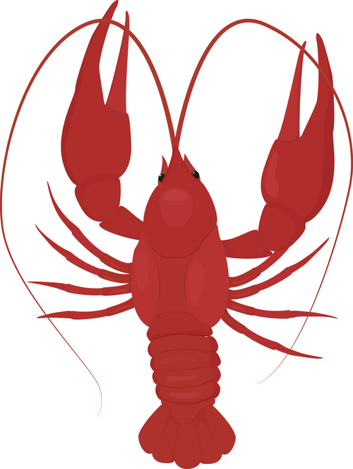 500x663 Red Lobster Silhouette Vector Free Download