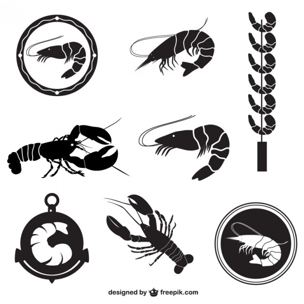 626x626 Shrimps And Lobsters Collection Vector Free Download
