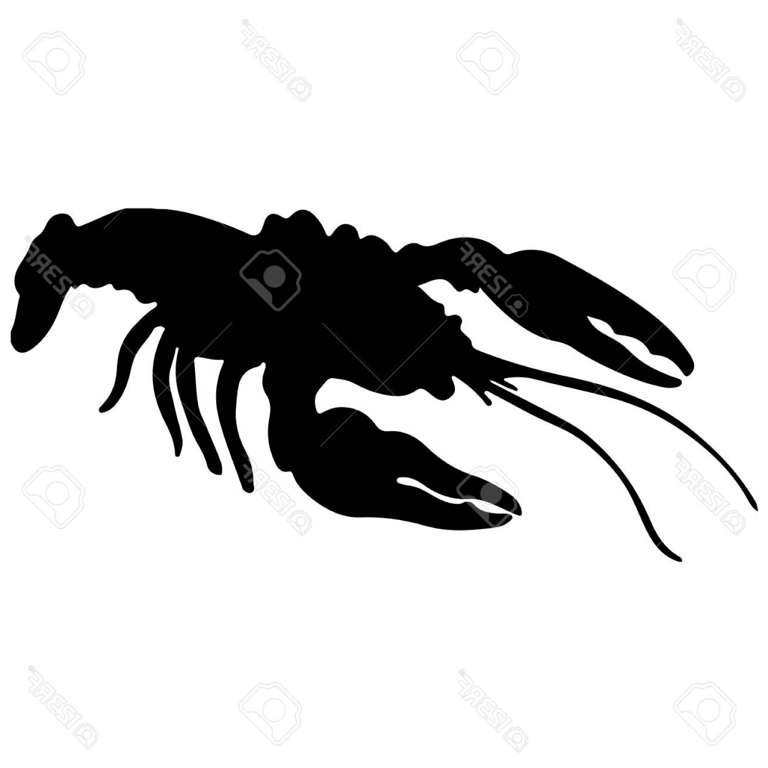 1560x1560 Vector Black And White Lobster Catchsplace