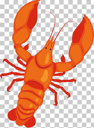 Lobster Vector