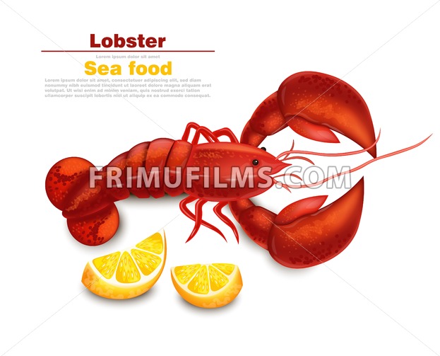 623x503 Lobster Vector Realistic Isolated Fresh Detailed Seafood