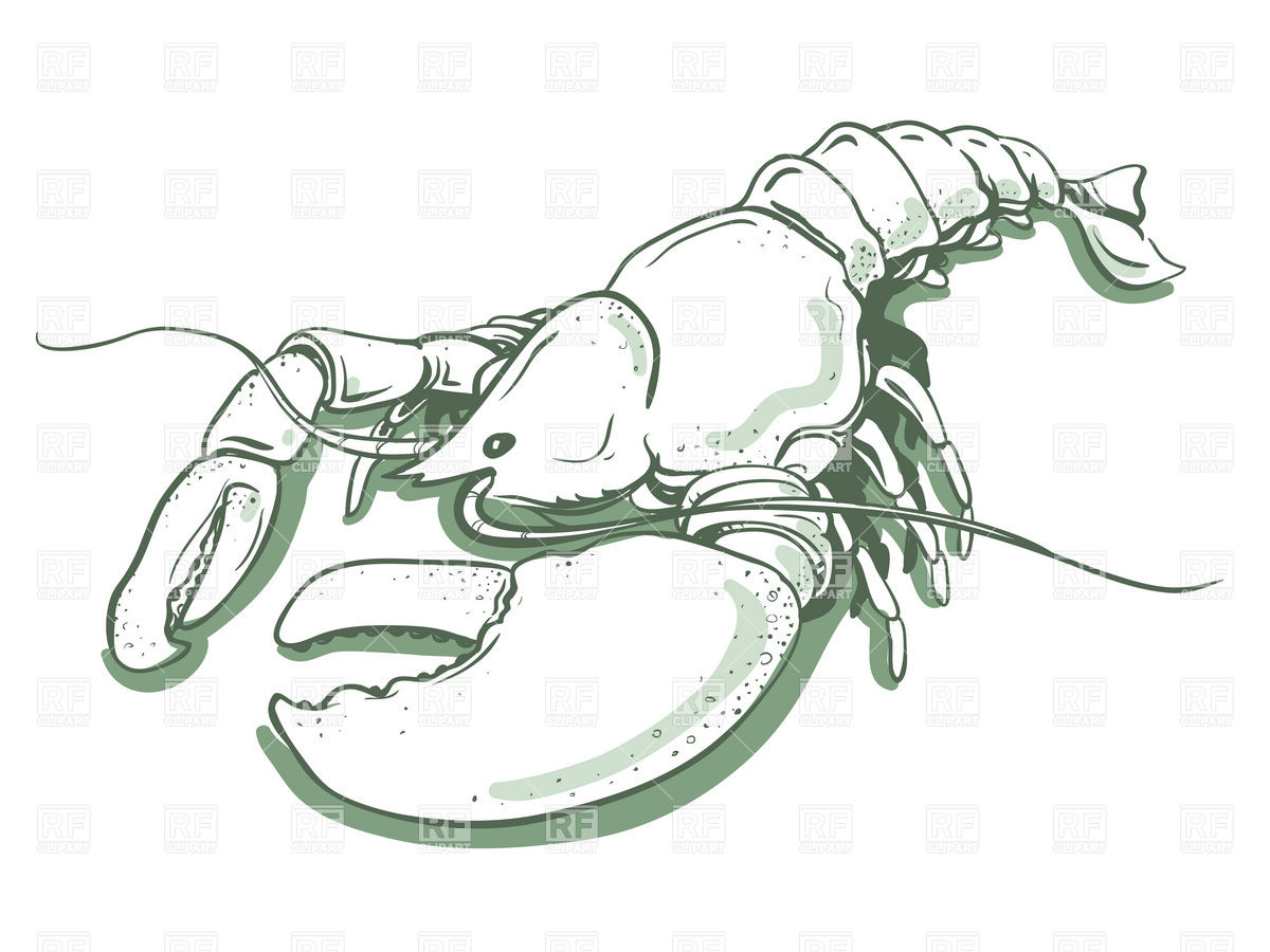 1200x900 Sketch Of Lobster Vector Image Of Plants And Animals Czaroot