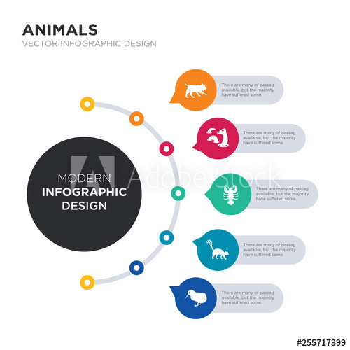500x500 Modern Business Infographic Illustration Design Contains Kiwi Bird