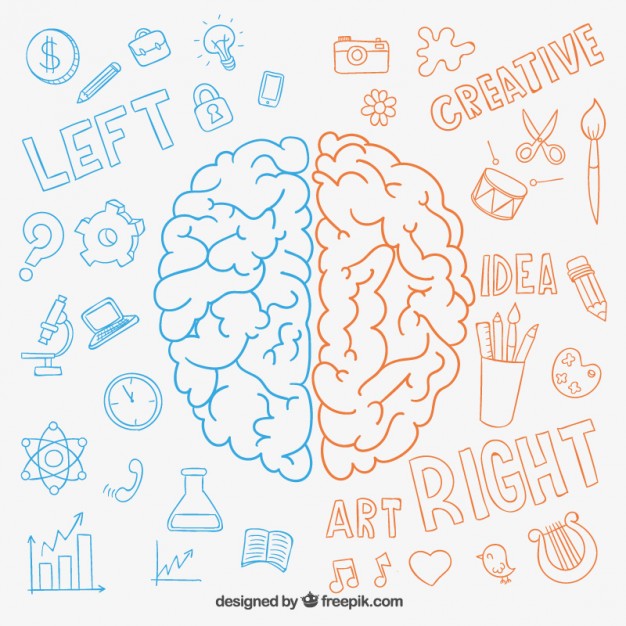 626x626 Logical Vectors, Photos And Free Download