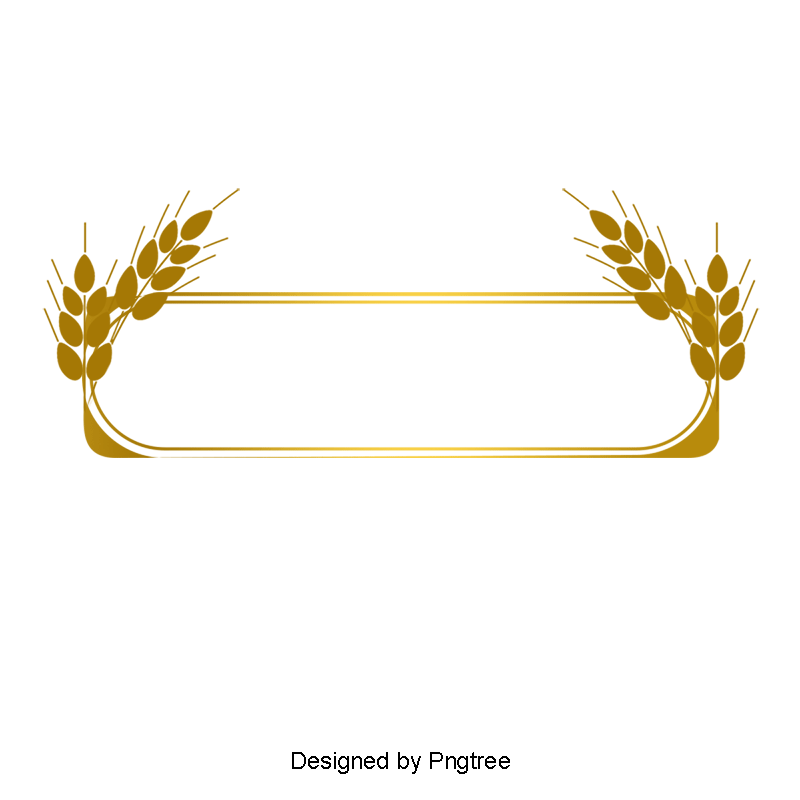 Gold Line Border, Gold Dendrite, Gold Frame, Euporean Pattern Png 800x800 Gold Line Border, Gold Dendrite, Gold Frame, Euporean Pattern Png
