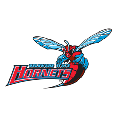 240x240 Hornet Agency Vector Logo Download