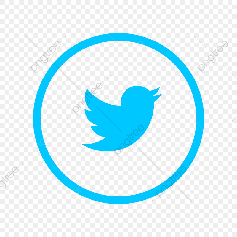 800x800 Twitter Logo Icon, Twitter Icon, Twitter Vector, Twitter Logo Png