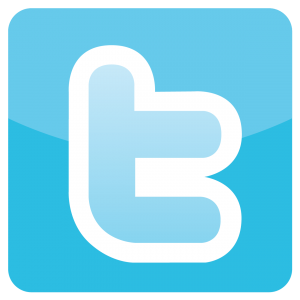 300x300 Twitter Logo Icon Vector And Adobe Illustrator Jon Bennallick