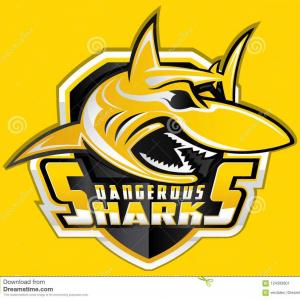 300x300 Shark Shield Sport Logo Vector Mascot Aquatic Predator Emblem