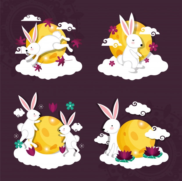 626x625 Bunny Vectors, Photos And Free Download