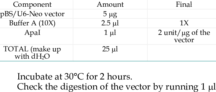 707x301 Apai Restriction Digestion Of Vector Download Table