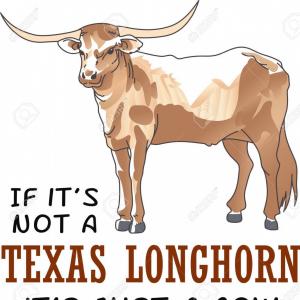 300x300 Photostock Vector Show Your Team Spirit With This Longhorn Logo