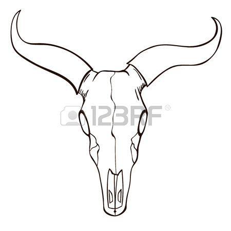 450x450 Huge Collection Of 'longhorn Skull Drawing' Download More Than