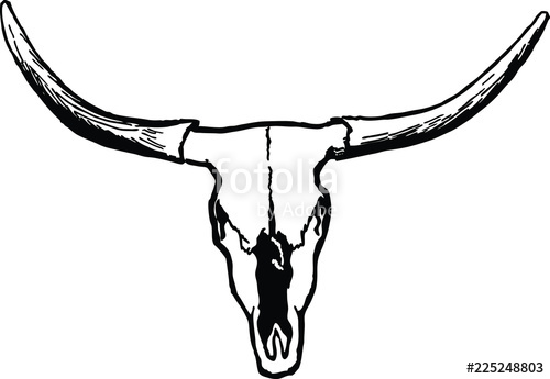 Longhorn Skull Vector at Vectorified.com | Collection of Longhorn Skull ...