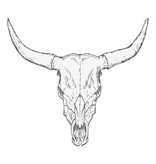 Longhorn Skull Vector at Vectorified.com | Collection of Longhorn Skull ...