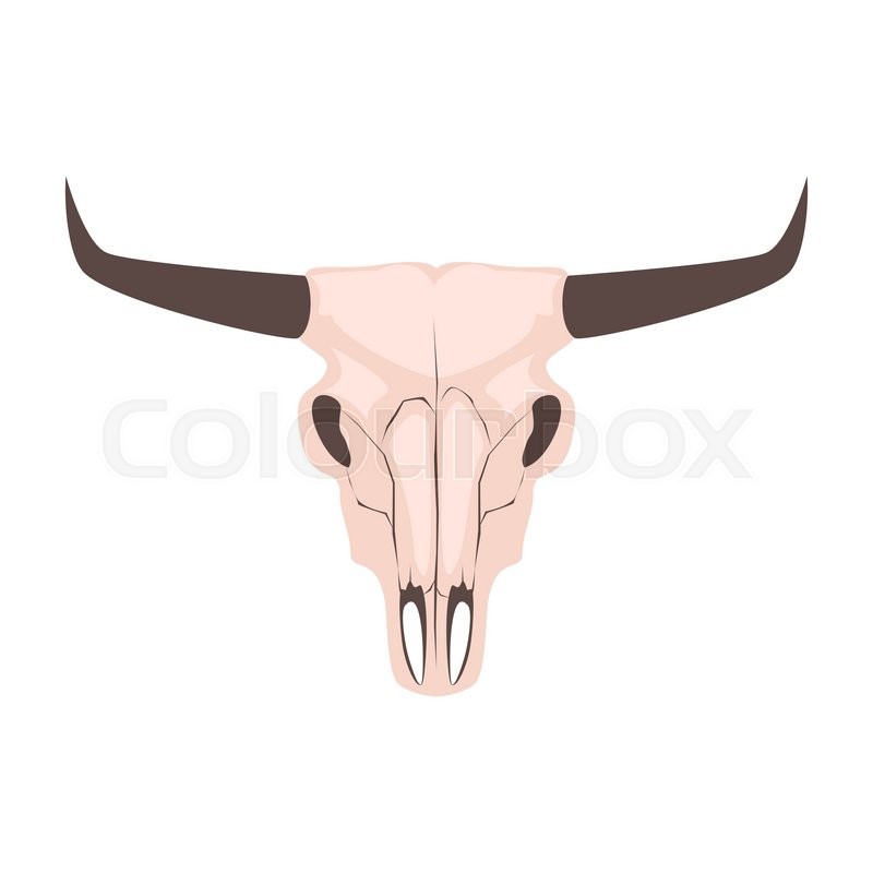 800x800 Longhorn Cow Skull Head Vector Stock Vector Colourbox