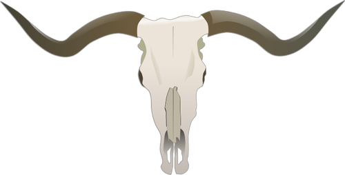 500x254 Longhorn Skull Vector Image