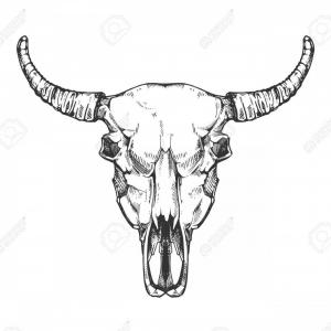 Longhorn Skull Vector at Vectorified.com | Collection of Longhorn Skull ...