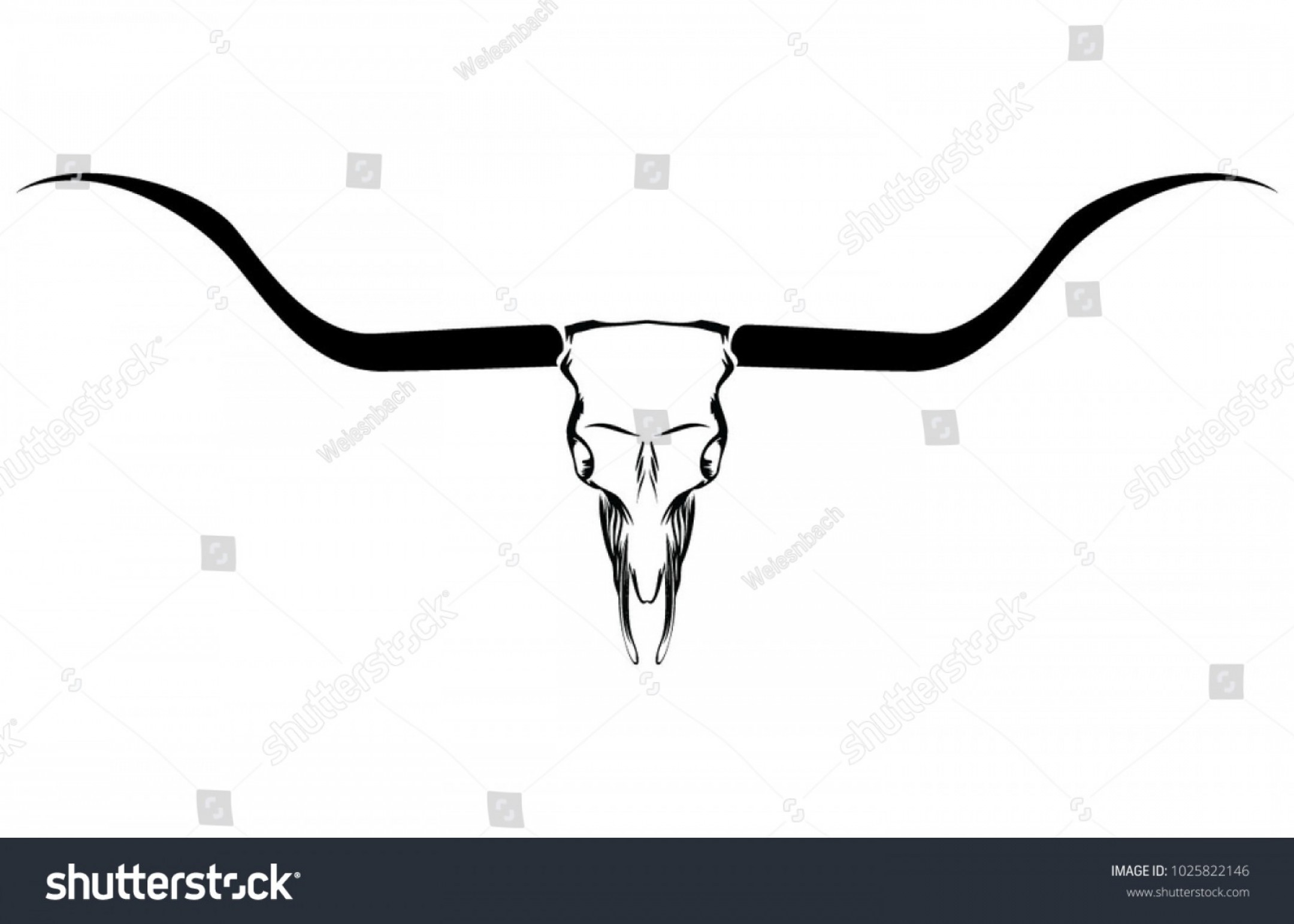 2160x1542 Steer Skull Vector Lamaison