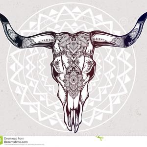 300x300 Stock Images Longhorn Steer Skull Image Createmepink