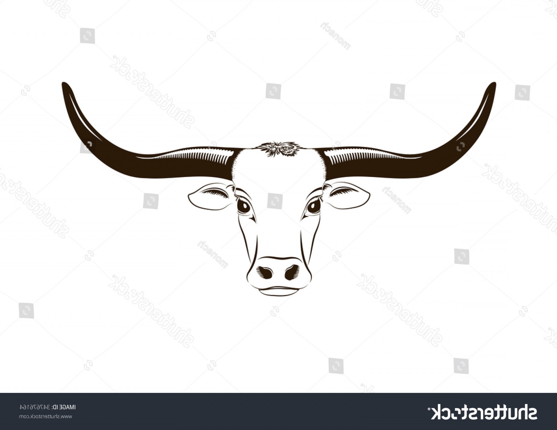 1800x1390 Vector Isolated Longhorn Head On White Catchsplace