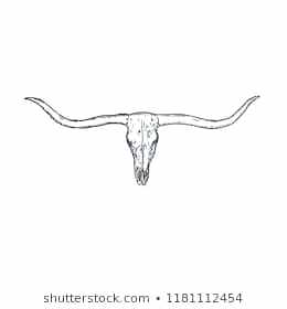 260x280 Texas Longhorn Skull Donthuntmenow Club